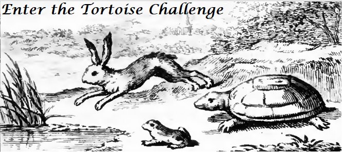 File:Tortoise Challenge.jpg