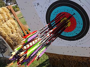 Target archery shot from Dreiburgen practice