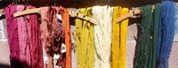 Natural Dyeing of handspun yarns with Cochineal (red/pink), Dodder (gold/yellow) and Indogo (blue) with overdyeing to create orange and green. 2013