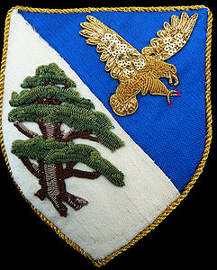 Jamal Damien Marcus Per bend azure and argent, an eagle striking to sinister, wings elevated and addorsed, Or and a Lebanon cedar proper. Maker: Éowyn Amberdrake Technique: The shield is silk dupioni, embroidered with colored purls (tree) and gold check purl and paillettes (eagle), typical of embroidery in late 16th & early 17th c. England.
