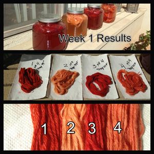 Madder Project Week 1 Results.jpg