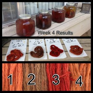 Madder Project Week 4 Results.jpg