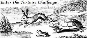 Tortoise Challenge.jpg