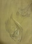 Drapery, after Boltraffio, Silverpoint on hand-tinted paper, 2017