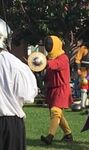 Fencing days