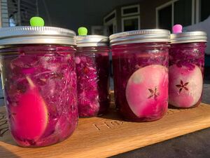 A sauerkraut recipe created by Kungund to grace a holiday table. Purple Cabbage, Granny-Smith apple, Orange zest, and cranberries.