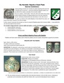 Thumbnail for version as of 17:01, 14 January 2025