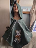Master, Sir, Baron Liam's Pelican/Knight hood. Hand embroidered Skjoldehamn hood. The hood is made of linen and cotton DMC floss. This is a one-of-a-kind piece.